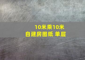 10米乘10米自建房图纸 单层